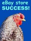 Happy Roosters guide to  STORE SUCCESS ebook on CD  