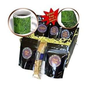 Florene Macro Plants   Sanibel Sea Grapes   Coffee Gift Baskets 