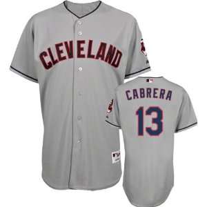 Asdrubal Cabrera Jersey: Adult Majestic Road Grey Authentic Cleveland 