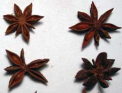 STAR ANISE by Lucky Mojo NEW  