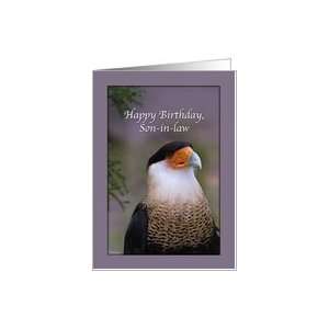  Son in laws Birthday Card with Crested Caracara Card 