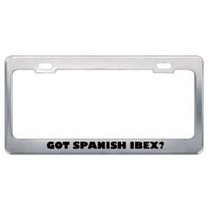 Got Spanish Ibex? Animals Pets Metal License Plate Frame Holder Border 