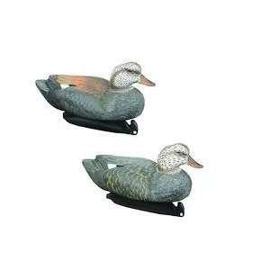  Classic Gadwall Duck Decoy, 6 Pack, Weighted Keel