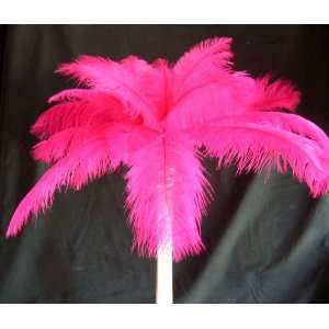 Ostrich Drab Feathers 20  HOT PINK   12/16 Long for Wedding Eiffel 