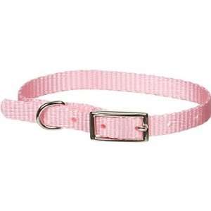    PETCO 3/8 Single Ply Nylon Dog Collar in Pink: Pet Supplies