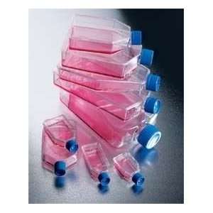  BD Falcon Petri Flasks, Polystyrene, Sterile, BD Biosciences 