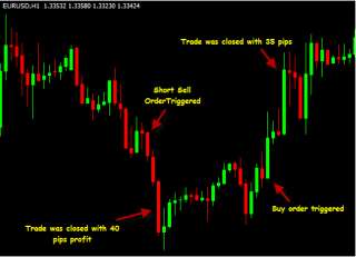   you ll learn how to turn your bad trading habits into good ones