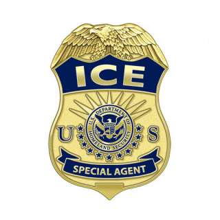 ice special agent badge lapel pin die struck 1 lapel pin with color 