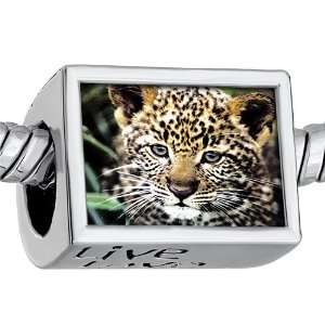   Gift Winter Sale Jewelry Fits Pandora Charm Bracelet: Pugster: Jewelry
