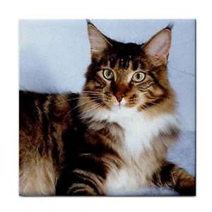   Cat Maine Coon Ceramic Tile Coaster Great Gift Idea: Office Products