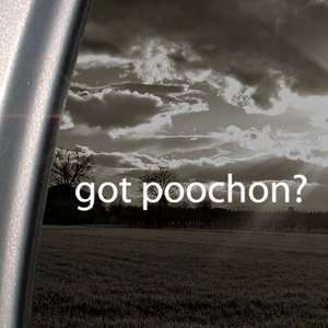    Got Poochon? Decal Bichon Frise Poodle Car Sticker: Automotive