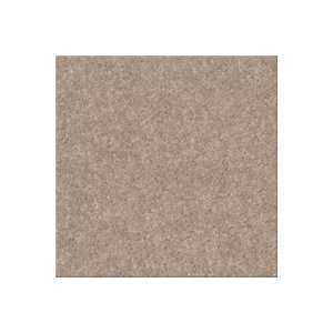   Birch Bark Aladdin Sensational Color Birch Bark Carpet Flooring Home