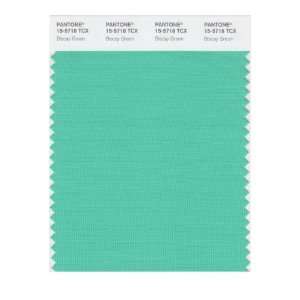   SMART 15 5718X Color Swatch Card, Biscay Green: Home Improvement