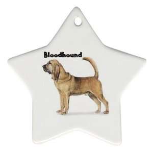  Bloodhound Ornament (Star)