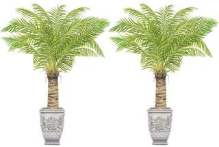 Tatouage Urns & Palm Trees Dry Rub Wall Transfer  