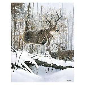  Leaping Deer    Print