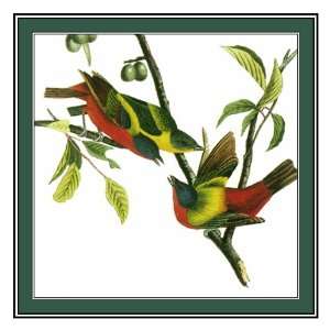  Counted Cross Stitch Chart/Graph John James Audubons Bird 