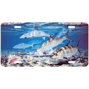 5009 Bonefish and Conch License Plate Car Auto Novelty Front Tag by 
