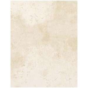    portobello ceramic tile bahia branco 8x10: Home Improvement