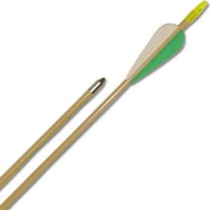  Pack of Deluxe Glass Target Arrows pack of 72   Archery 