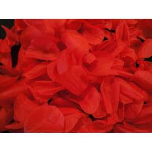  Tanda Scarleth Red 1000 Premium Hand Cut Silk Rose Petals 
