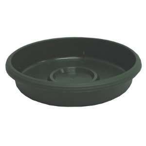    Panterra Deep Saucer Green   Part # SPN08000