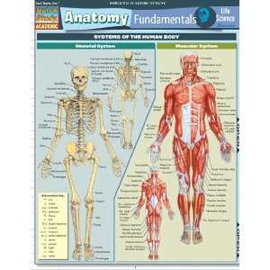   9781423209829 Anatomy Fundamentals  Life  Pack of 3