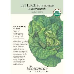  Butterhead Buttercrunch Lettuce Seeds Certified Organic 