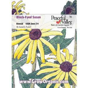  Black Eyed Susan Seed Pack Patio, Lawn & Garden