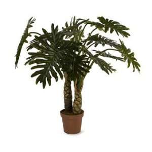  Imax Corporation 61059 Monstera Palm   4 in height: Patio 