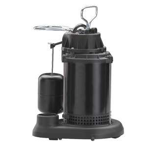 WAYNE 1/3 HP Submersible Sump Pump with Vertical Float Switch SPF33 