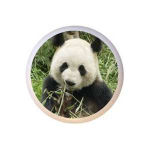  Giant Panda Bear Drawer Pull Knob: Home Improvement