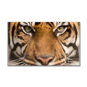  Sticker (Rectangle) Sumatran Tiger Face 