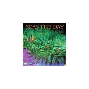  Seas the Day 2010 Wall Calendar: Office Products