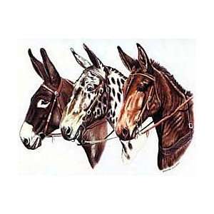  Mule Shirts