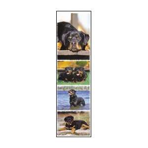  Rottweiler Stickers   Strip of 4: Toys & Games