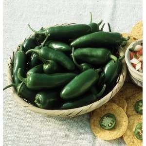   Jalapeno Pepper Early Jalapeno (Capsicum annuum) 20 Seeds per Packet