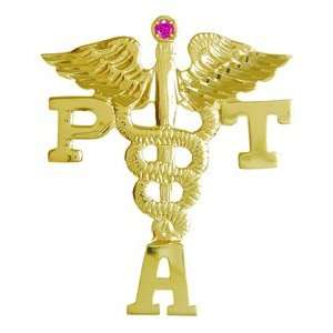  NursingPin   Physical Therapy Assistant PTA Graduation Pin 