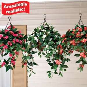  Hanging Impatiens Bush (White): Everything Else