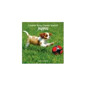  Cavalier King Charles Spaniel Puppies 2009 Wall Calendar 