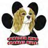 CAVALIER KING CHARLES SPANIEL DOG CAR FRIDGE MAGNET  