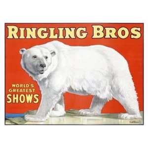  Ringling Brothers Polar Bear Giclee Poster Print, 24x18 