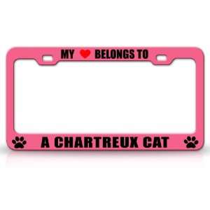  MY HEART BELONGS TO A CHARTREUX Cat Pet Auto License Plate 