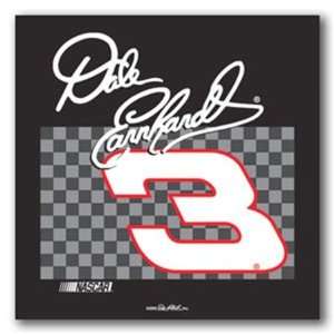   Dale Earnhardt #3 NASCAR Stadium Bleacher Tote Seat: Sports & Outdoors