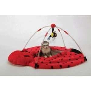  Ferret Bedbug Play Center