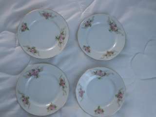 Plates C T Altwasser Silesia Germany 6 Dia Floral  