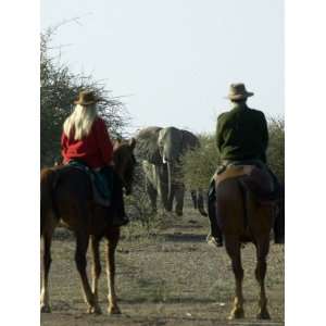 People on Horse Safari at Mashatu Game Reserve, Botswana 