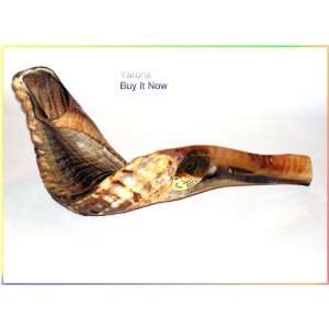  New Kosher 20 Rams Horn Shofar Authentic Natural From 