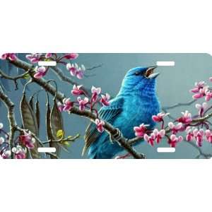 Rikki KnightTM Blue Bird on Pink Flowers Cool Novelty 