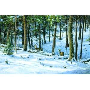  Backwoods Deer by Scott Zoellick. Size 24.00 X 16.00 Art 
